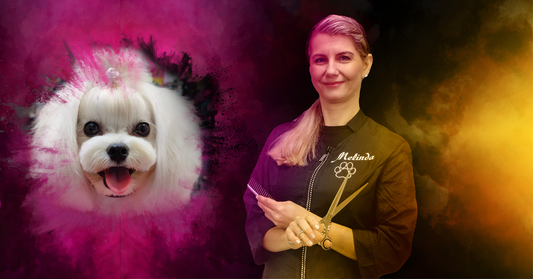 Salon Style Dog Grooming Seminar and Workshop