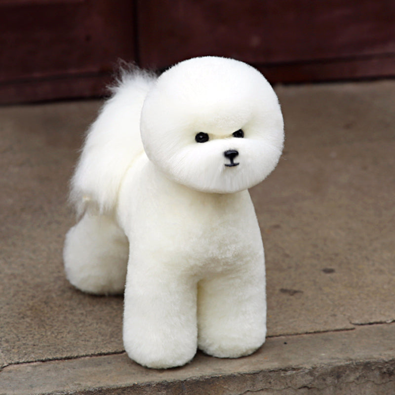 Bichon Model Dogs