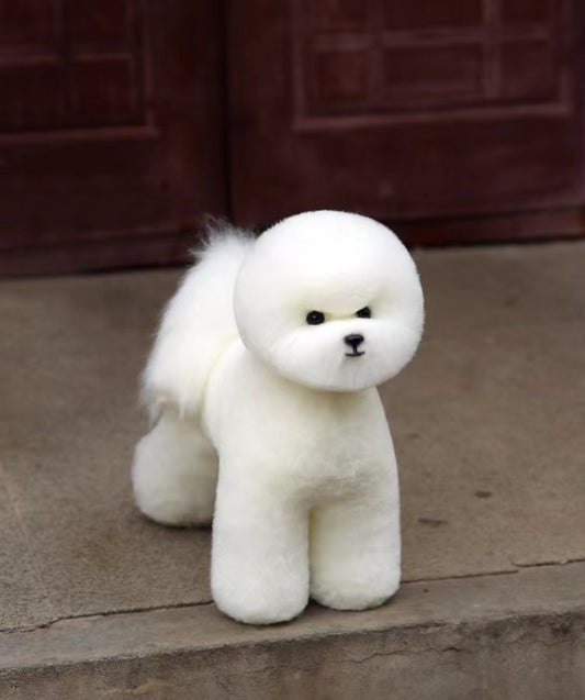 Bichom trimmed model dog