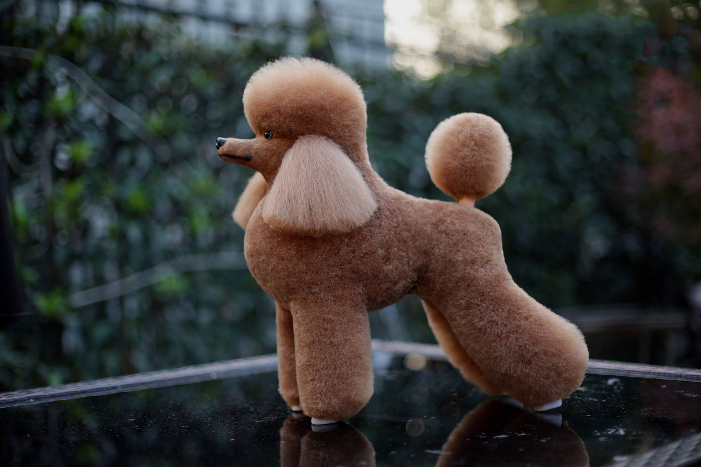 Mr. Jiang Toy Poodle Model Dog Combo (Mannequin and a Wig)