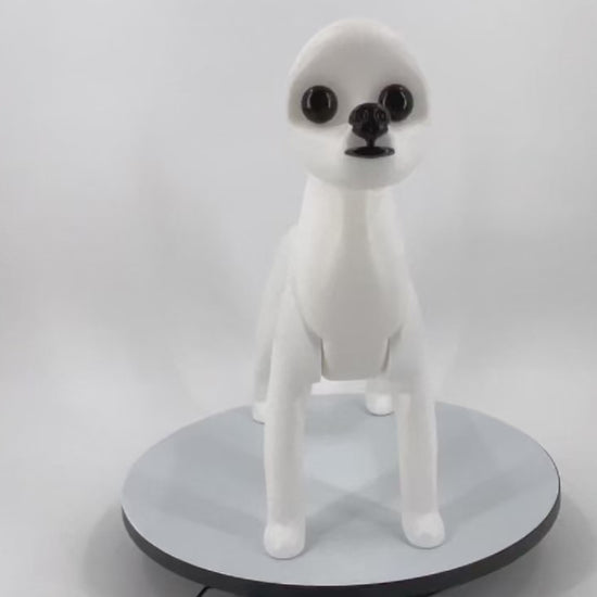 Bichon Dummy