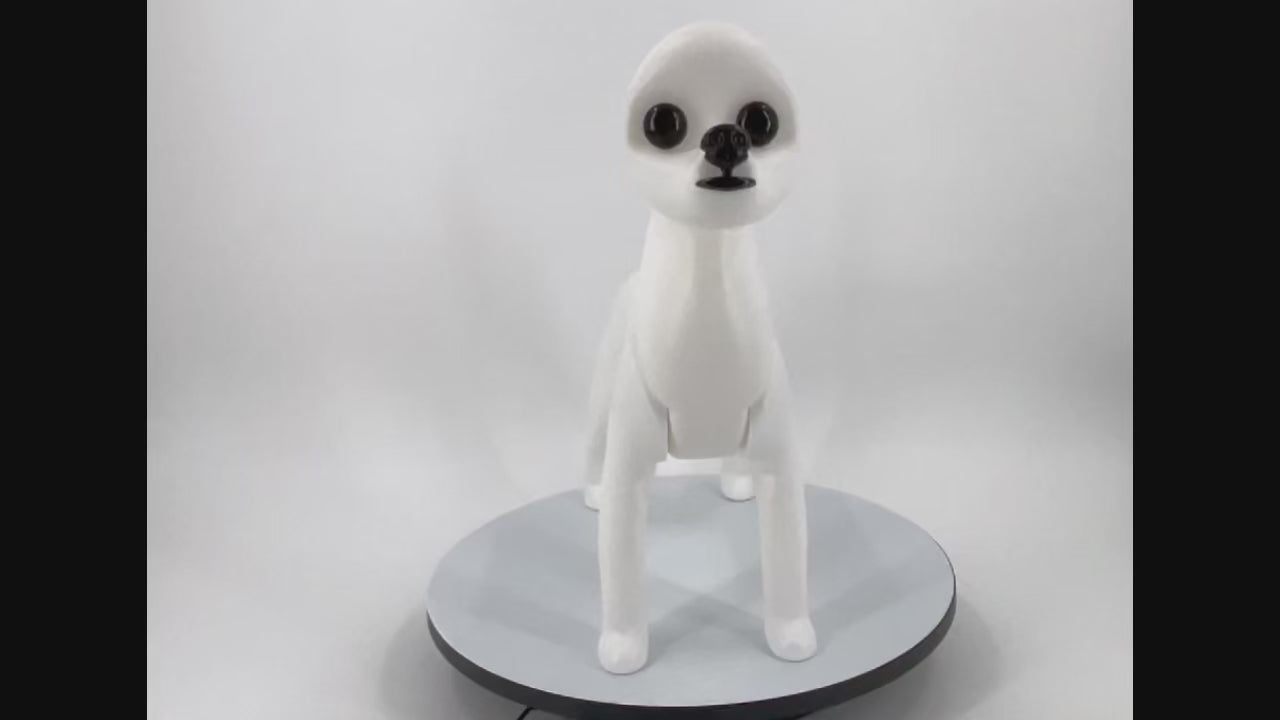 Bichon Dummy