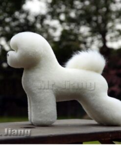 Bichon Model Dog