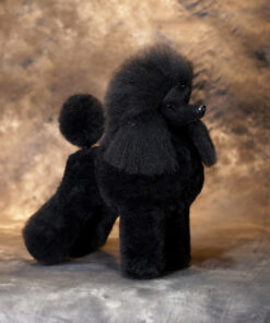 Toy Poodle Model Dog Hair Black Wig is ideal for practising scissoring techniques in grooming schools to teach students safely and efficiently.