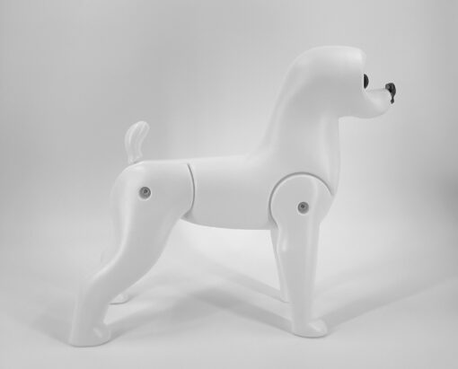 Dog Groomers Bichon Model Dog body for practice scissoring 1