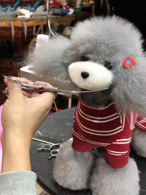Teddy Bear Model Dog Wigs, Grey, Dog Groomers scissors practice, creative grooming, Asian style