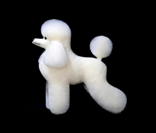 Toy Poodle Model Dog Hair White Wig is ideal for practising scissoring techniques in grooming schools to teach students safely and efficiently.