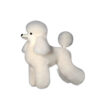 Mr Jiang Toy Poodle Model Dog Hair Creamy White Wig is ideal for practising scissoring techniques in grooming schools to teach students safely and efficiently.