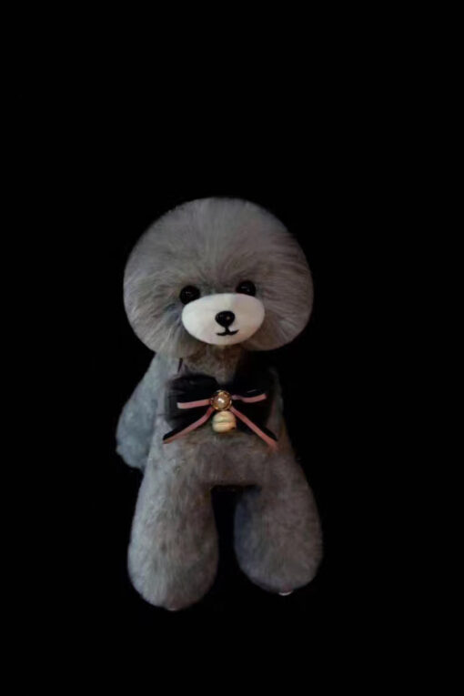 Teddy Bear Model Dog Wigs, Grey, Dog Groomers scissors practice, creative grooming, Asian style