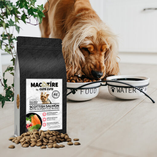 Mac Tire Salmon superfood Problem-Solving Nutrition
