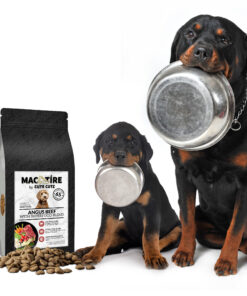 Nutrient-packed Angus beef superfood for dogs, expertly crafted by a canine nutritionist for optimal health and flavour.