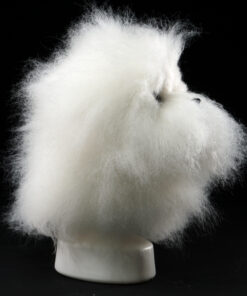 Bichon head modeldog mannquin for doggroomers Dog Groomers scissors practice, creative grooming Brushed out