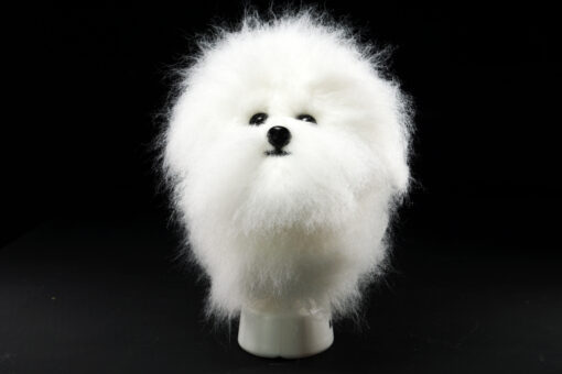 Bichon head modeldog mannquin for doggroomers Dog Groomers scissors practice, creative grooming