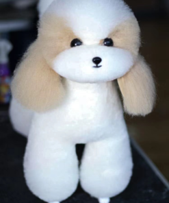 Teddy Bear Model Dog Colour Spotted, White, Dog Groomers scissors practice, creative grooming,