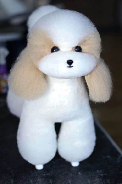 Teddy Bear Model Dog Colour Spotted, White, Dog Groomers scissors practice, creative grooming,