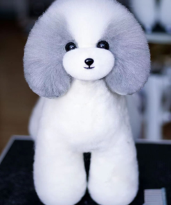 Teddy Bear Model Dog Colour Spotted, White, Dog Groomers scissors practice, creative grooming,