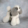 Teddy Bear Model Dog Colour Spotted, White, Dog Groomers scissors practice, creative grooming,