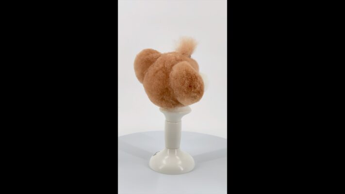 Spinning portable model dog head mannequin with champagne and white standing ear model dog wig