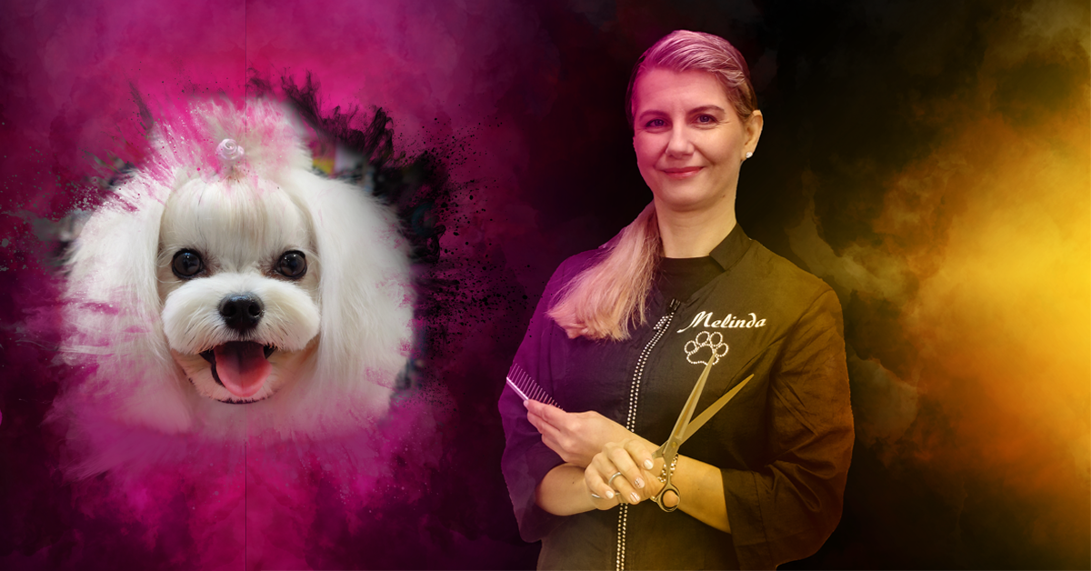 Salon Style dog Grooming Seminar and Workshop