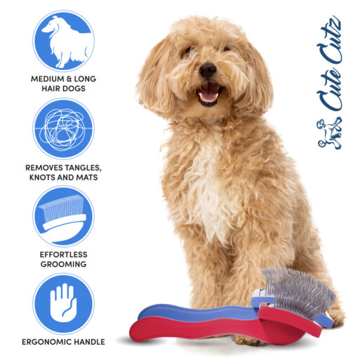 Cute Cutz Soft Pin Slicker Brush for Doodles, Cockerpoos, curly coated dogs and for Deshedding