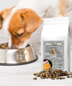 Mac Tire Grain Free Lamb, Potato, Mint Small Breed Dog Food dog eating