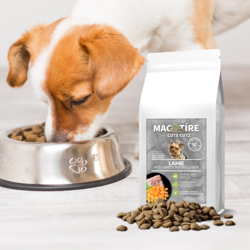 Mac Tire Grain Free Lamb, Potato, Mint Small Breed Dog Food dog eating