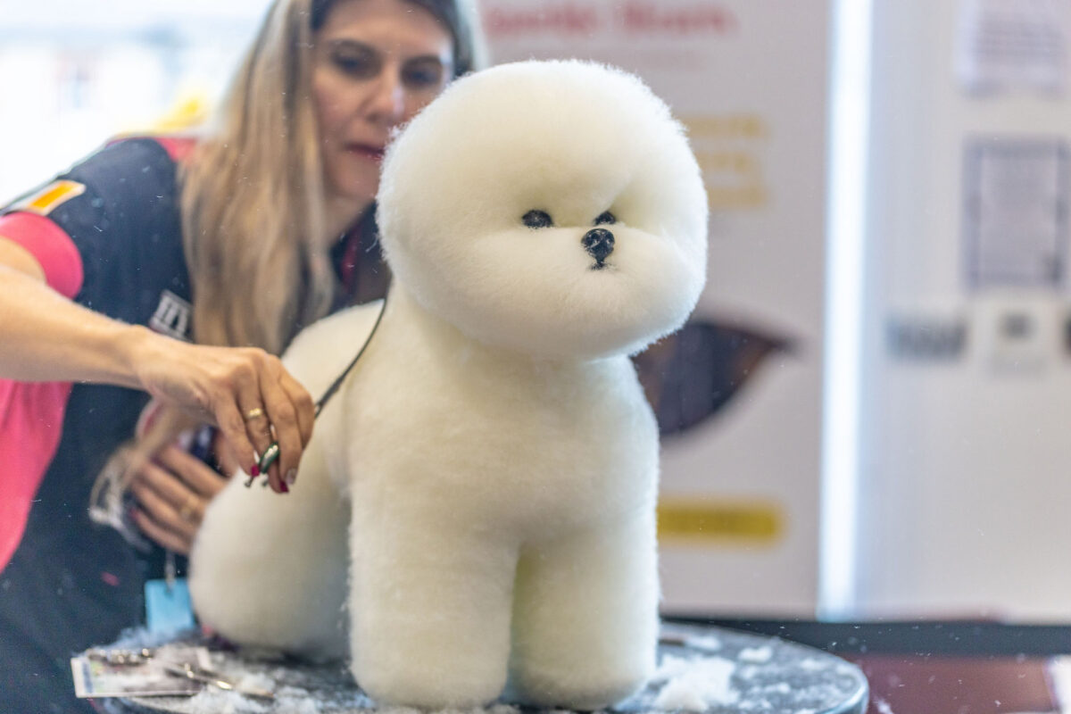 Dog grooming courses with model dog